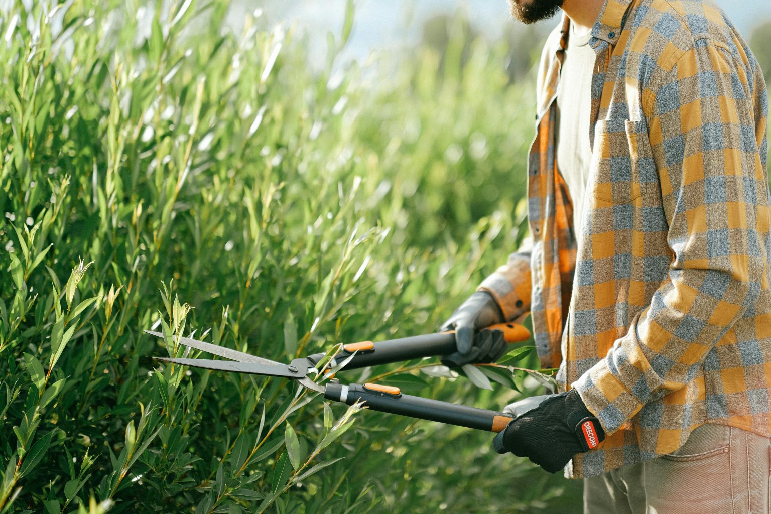 Top 5 Must-Have Garden Tools for Efficient Gardening