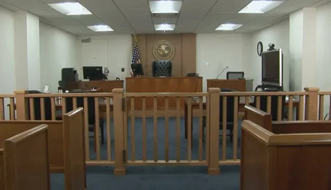 The Role of Due Process in Immigration Detention Cases