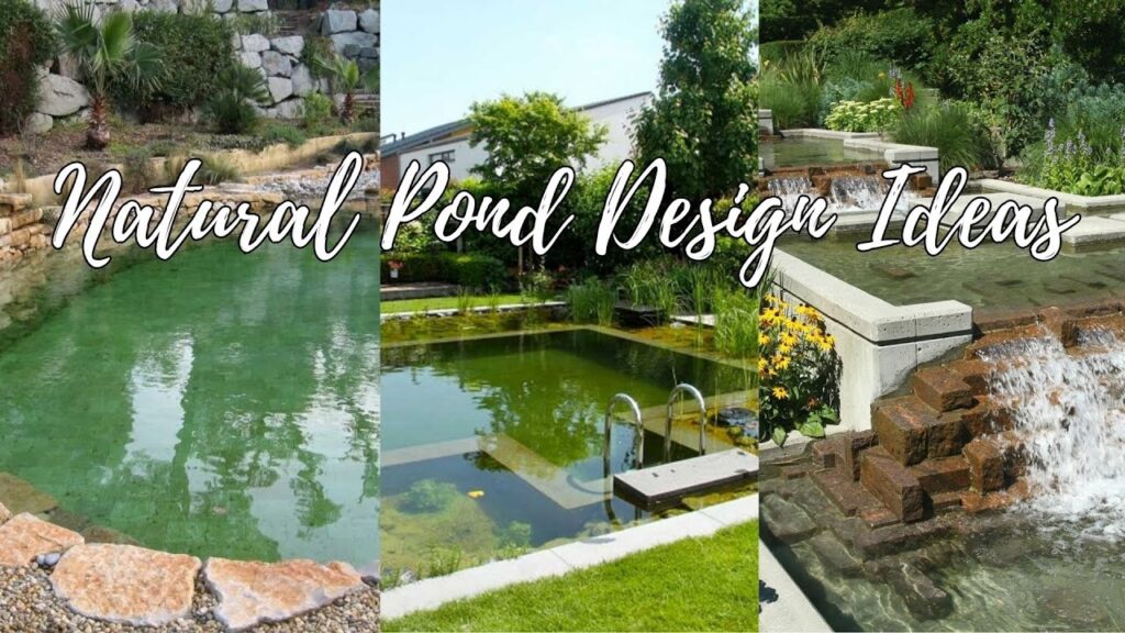 Expert Professional Pond Cleaning Surrey for Healthy and Beautiful Ponds
