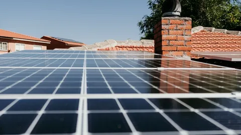 Top Reasons to Hire a Professional Solar Installer Auckland Homeowners Trust